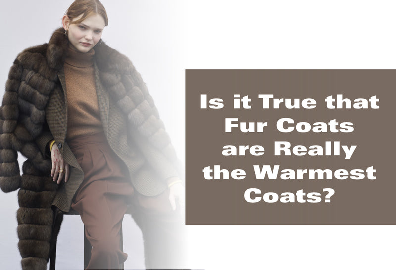 Are Fur Coats Really the Warmest on The Market?