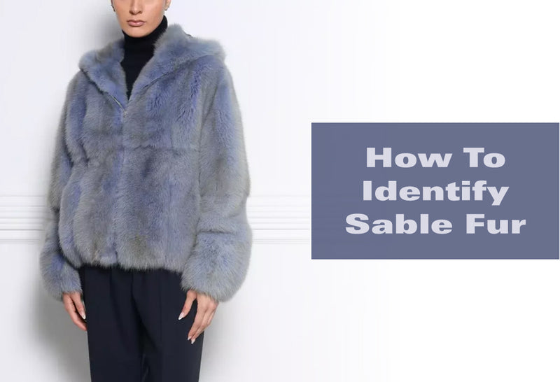 How to Identify Sable Fur: Getting Authentic Fur