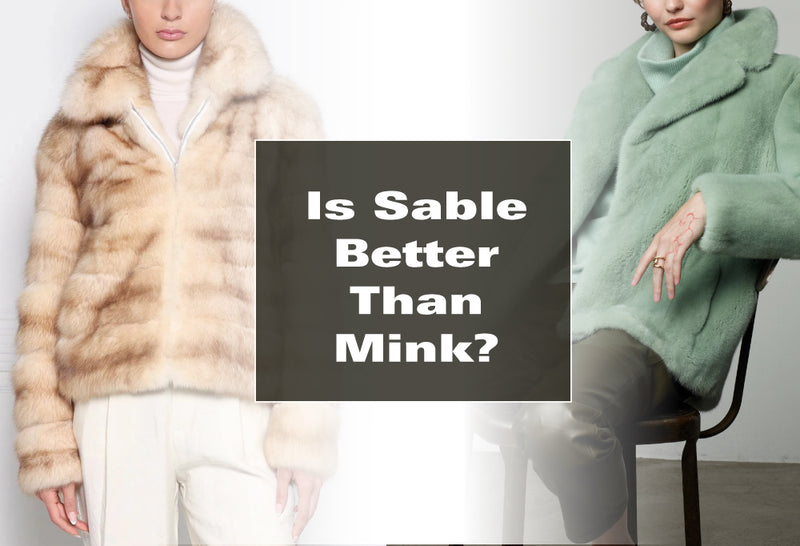 Sable vs. Mink Jackets: Which is Better?