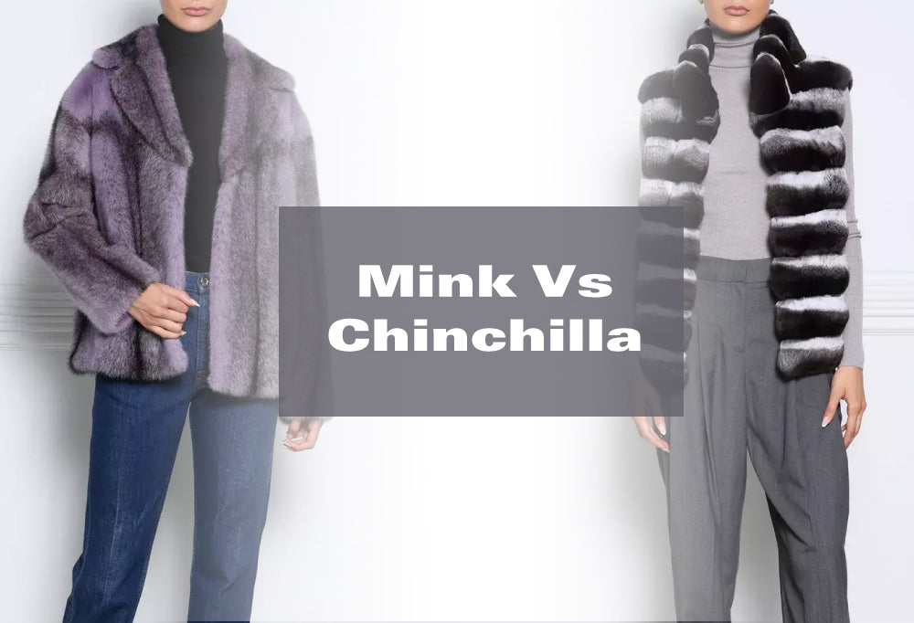 Mink vs. Chinchilla Which is Better for You?