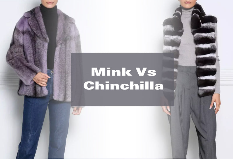 Mink vs. Chinchilla: Which is Better for You?