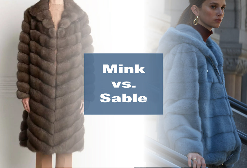 Mink vs. Sable Comparing The Differences
