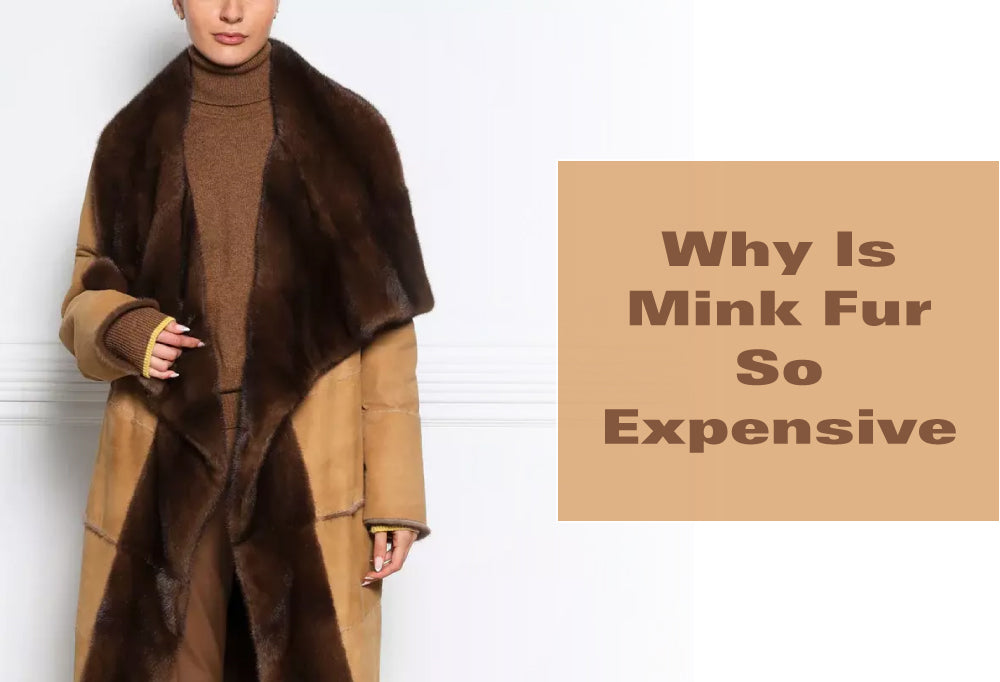 Why Is Mink Fur So Expensive? – POLOGEORGIS