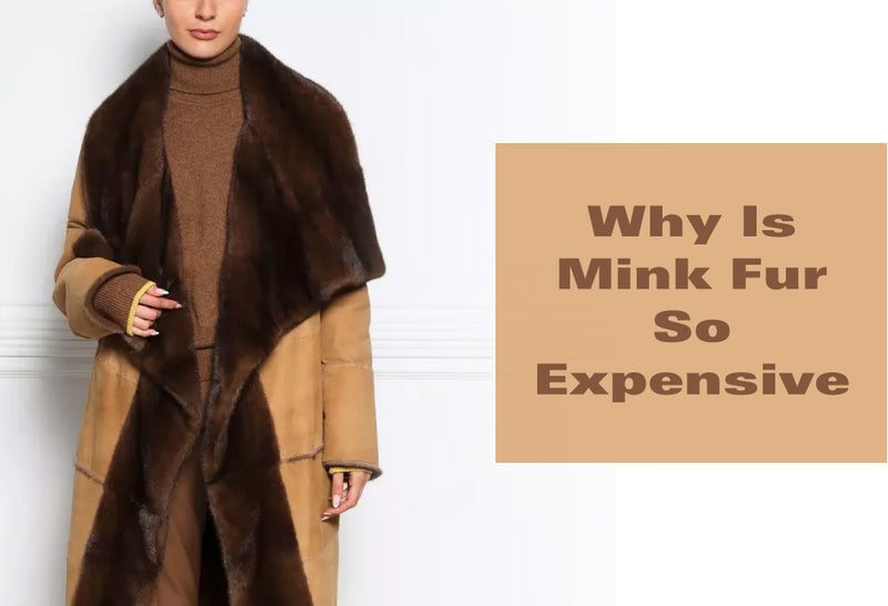 Why Is Mink Fur So Expensive?