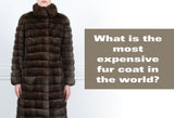 What is the Most Expensive Fur Coat in the World?
