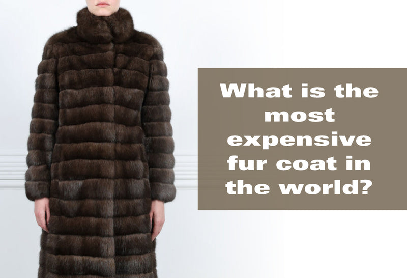 Most expensive coat in the world 2025