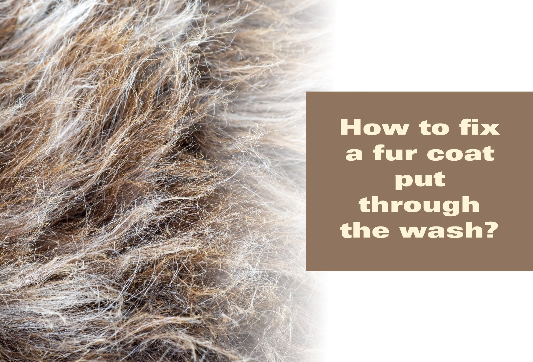 How to Fix a Fur Coat Put Through the Wash – POLOGEORGIS
