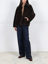 The Holland Mink